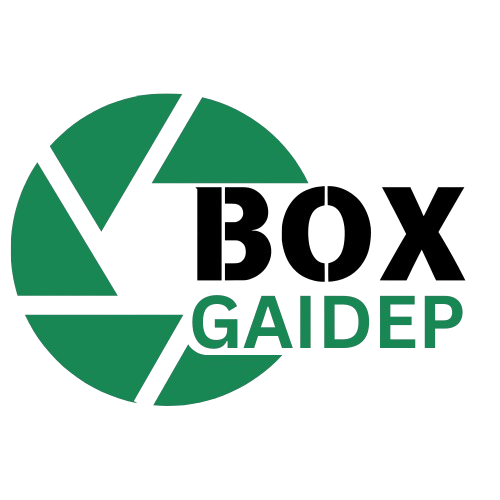 Boxgaidep.com